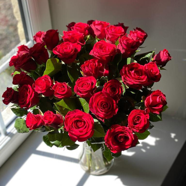 Red Roses